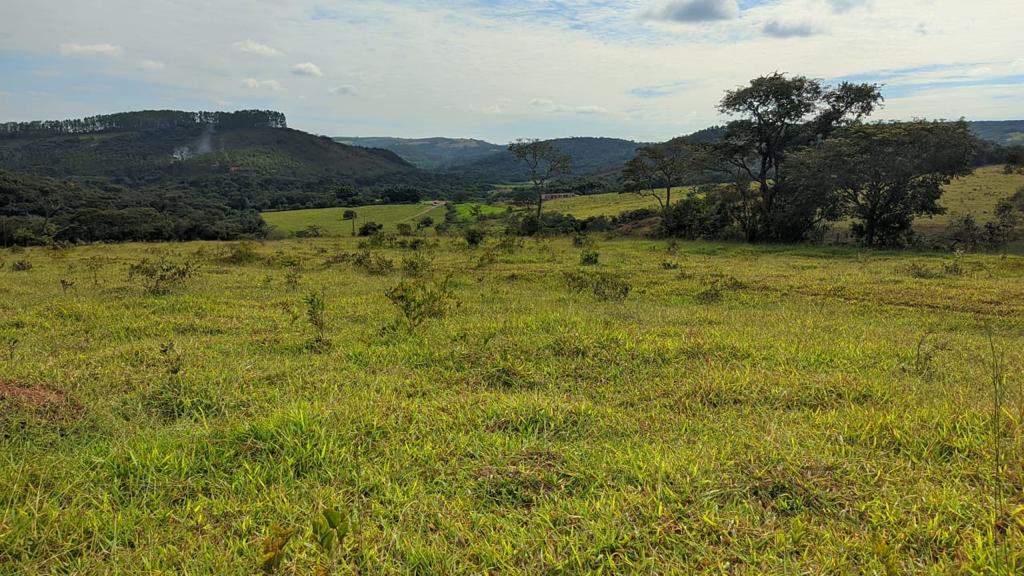 Fazenda/Sítio/Chácara