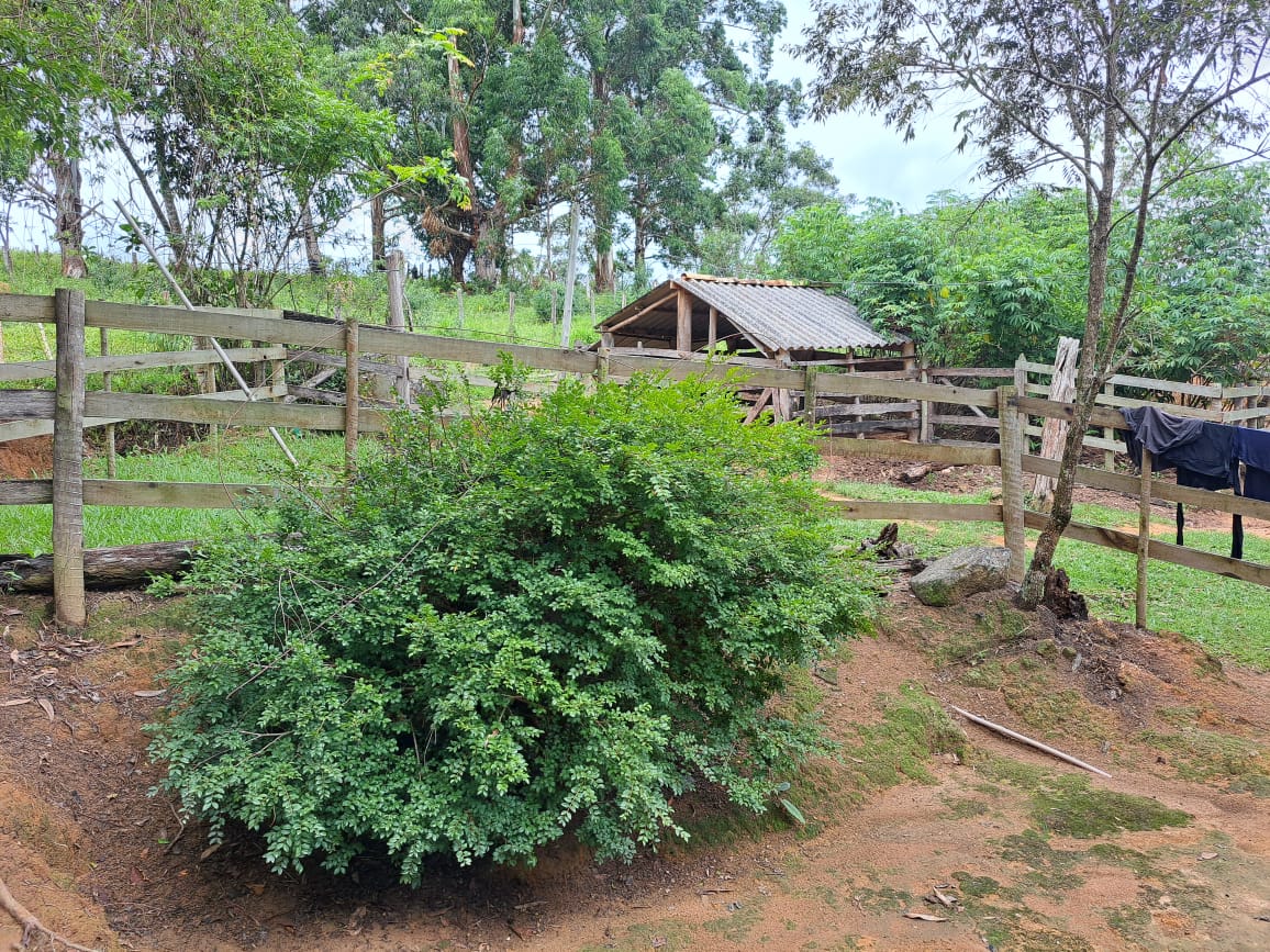 img-8