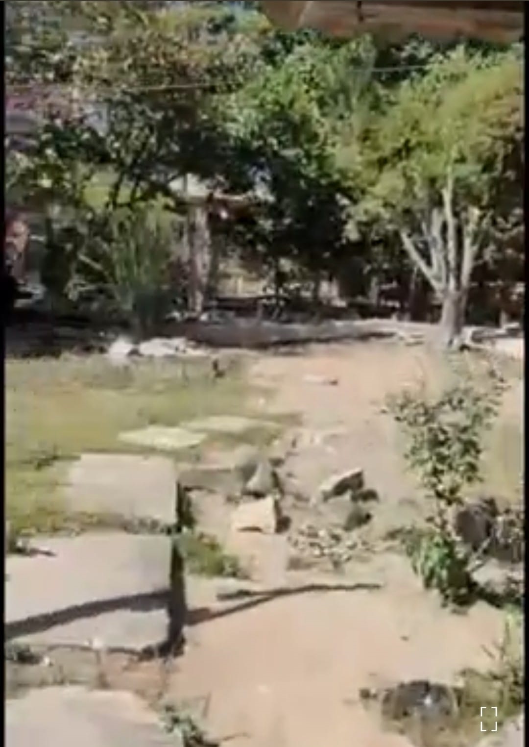 casa 43-5